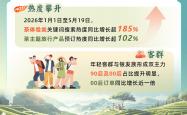 kaiyun登录 -国际茶日观茶旅，雲(yún)南普洱茶旅热度(dù)位居全(quán)国第二，景迈山搜索热度(dù)同比(bǐ)增长96%