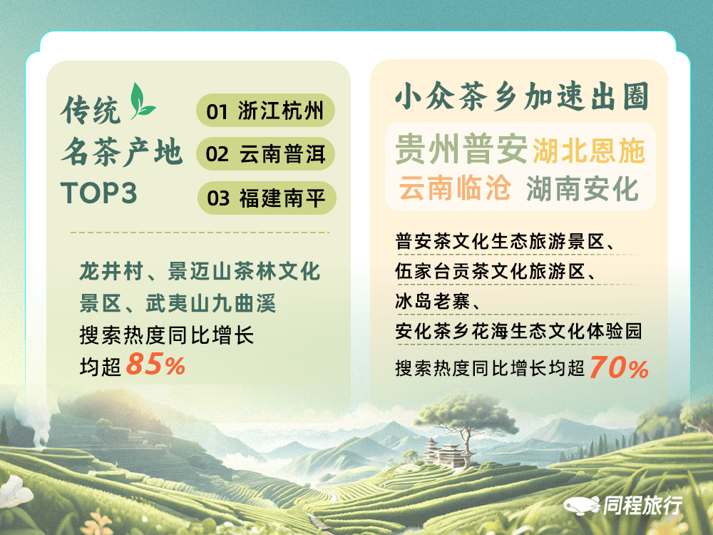 国际茶日观茶旅,云南普洱茶旅热度位居全国第二,景迈山搜索热度同比增长96%